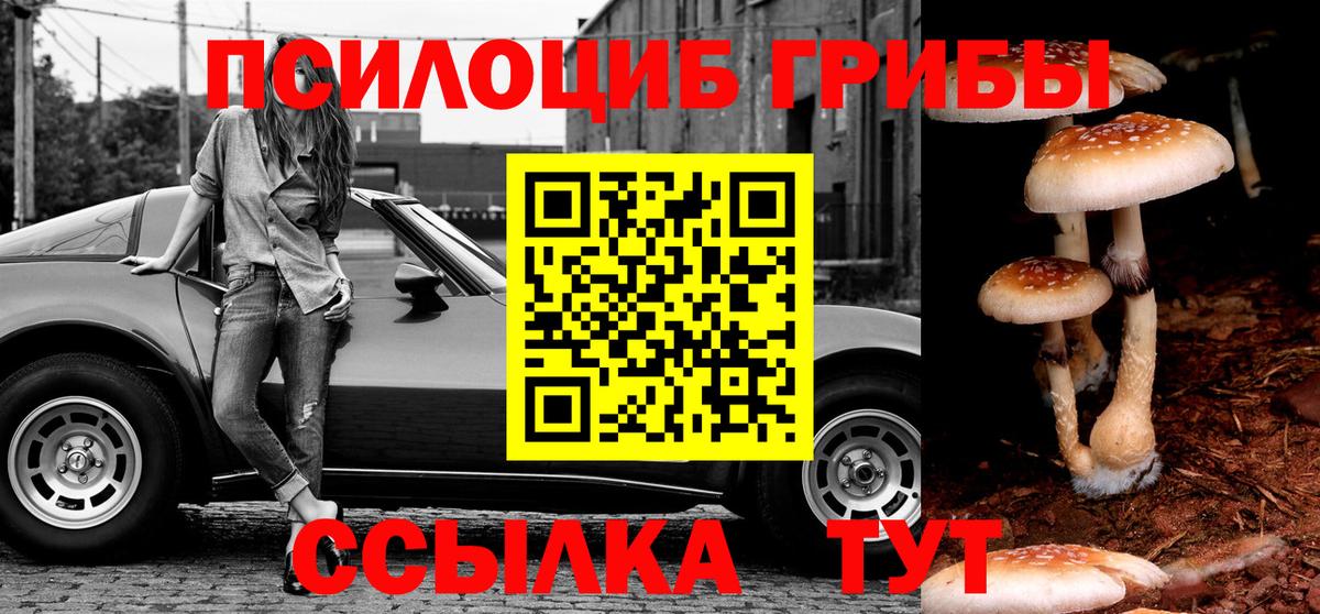 Псилоцибиновые грибы ЛСД  магазин продажи наркотиков  Лосино-Петровский  Вход с VPN 