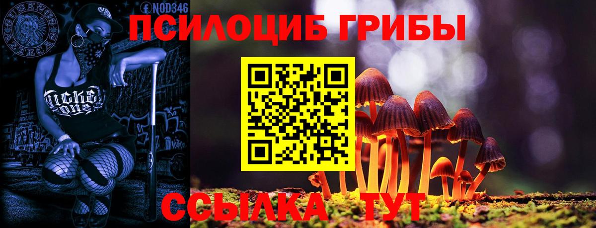 Галлюциногенные грибы мицелий Лосино-Петровский