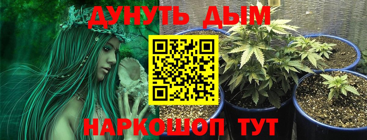 Каннабис VHQ Лосино-Петровский